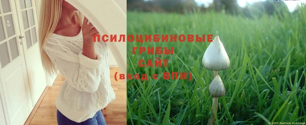 шишки Армянск