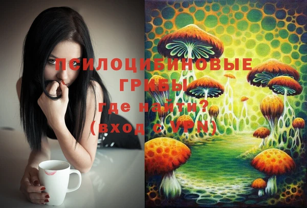 винт Аркадак