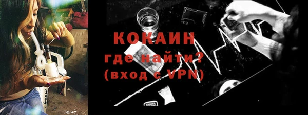 шишки Армянск
