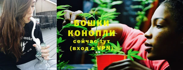 амф Арсеньев