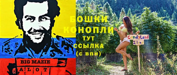 винт Аркадак