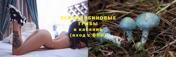 амф Арсеньев